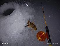 Нажмите на изображение для увеличения.  Название:	IMG_20260308_201545.jpg Просмотров:	0 Размер:	450.2 Кб ID:	4555870