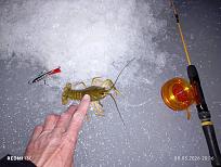 Нажмите на изображение для увеличения.  Название:	IMG_20260308_201649.jpg Просмотров:	0 Размер:	412.4 Кб ID:	4555871