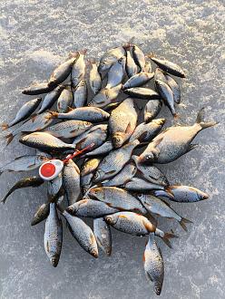 Нажмите на изображение для увеличения.

Название:	IMG_20260309_180819.jpg
Просмотров:	141
Размер:	625.1 Кб
ID:	4555913