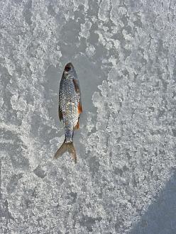 Нажмите на изображение для увеличения.  Название:	20260309_102513.jpg Просмотров:	0 Размер:	567.2 Кб ID:	4555939