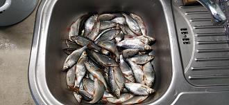 Нажмите на изображение для увеличения.

Название:	IMG_20260309_184258.jpg
Просмотров:	212
Размер:	491.8 Кб
ID:	4555972