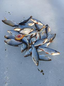 Нажмите на изображение для увеличения.

Название:	IMG_20260310_172522.jpg
Просмотров:	6
Размер:	463.3 Кб
ID:	4556015