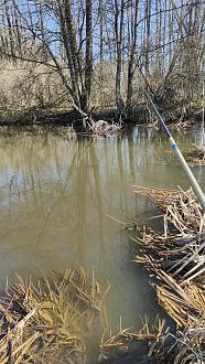 Нажмите на изображение для увеличения.

Название:	IMG20260307130453.jpg
Просмотров:	243
Размер:	637.5 Кб
ID:	4556070