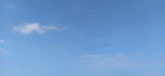 Нажмите на изображение для увеличения.  Название:	IMG_20260311_124155.jpg Просмотров:	0 Размер:	841.8 Кб ID:	4556114