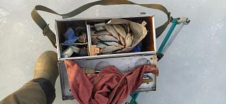 Нажмите на изображение для увеличения.  Название:	IMG_20260311_174908.jpg Просмотров:	0 Размер:	478.1 Кб ID:	4556113