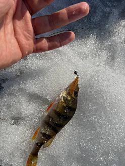 Нажмите на изображение для увеличения.

Название:	photo_2_2026-03-12_16-24-52.jpg
Просмотров:	36
Размер:	329.5 Кб
ID:	4556181