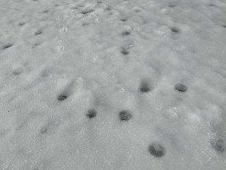 Нажмите на изображение для увеличения.

Название:	IMG_20260313_161148.jpg
Просмотров:	720
Размер:	485.3 Кб
ID:	4556300