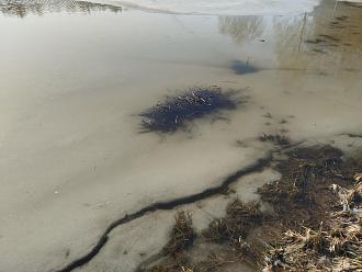 Нажмите на изображение для увеличения.

Название:	IMG_20260313_162048.jpg
Просмотров:	723
Размер:	438.4 Кб
ID:	4556301