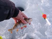 Нажмите на изображение для увеличения.  Название:	IMG_20260314_192146.jpg Просмотров:	495 Размер:	338.8 Кб ID:	4556370