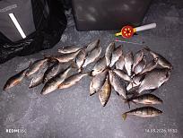 Нажмите на изображение для увеличения.  Название:	IMG_20260314_195221.jpg Просмотров:	562 Размер:	569.6 Кб ID:	4556371