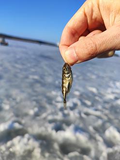 Нажмите на изображение для увеличения.

Название:	IMG_20260315_171443.jpg
Просмотров:	794
Размер:	193.2 Кб
ID:	4556464