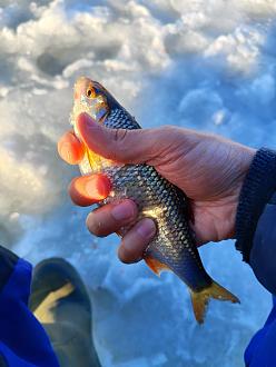 Нажмите на изображение для увеличения.

Название:	IMG_20260315_173557.jpg
Просмотров:	785
Размер:	255.4 Кб
ID:	4556466