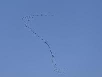 Нажмите на изображение для увеличения.

Название:	20260314_073640.jpg
Просмотров:	977
Размер:	113.1 Кб
ID:	4556471