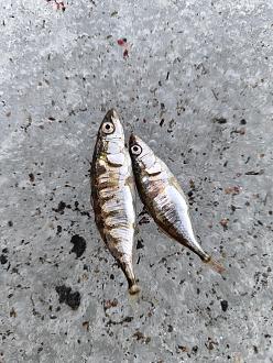 Нажмите на изображение для увеличения.  Название:	IMG_20260316_190715.jpg Просмотров:	0 Размер:	545.8 Кб ID:	4556572