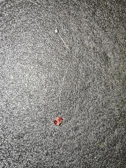 Нажмите на изображение для увеличения.  Название:	IMG_20260316_200852.jpg Просмотров:	0 Размер:	695.6 Кб ID:	4556573