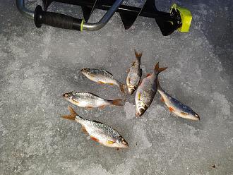 Нажмите на изображение для увеличения.  Название:	IMG_20260316_200148.jpg Просмотров:	0 Размер:	636.4 Кб ID:	4556575