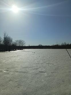 Нажмите на изображение для увеличения.

Название:	IMG_20260316_154519_246.jpg
Просмотров:	64
Размер:	440.9 Кб
ID:	4556577