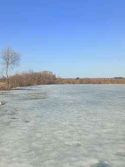 Нажмите на изображение для увеличения.

Название:	IMG_20260316_162817_788.jpg
Просмотров:	49
Размер:	303.8 Кб
ID:	4556578