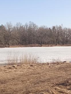 Нажмите на изображение для увеличения.

Название:	IMG_20260316_163145_454.jpg
Просмотров:	48
Размер:	461.8 Кб
ID:	4556579