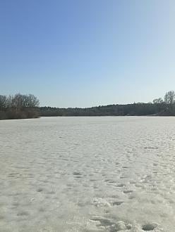 Нажмите на изображение для увеличения.

Название:	IMG_20260316_162824_722.jpg
Просмотров:	47
Размер:	326.6 Кб
ID:	4556580