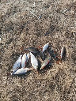 Нажмите на изображение для увеличения.

Название:	IMG_20260316_163253_446.jpg
Просмотров:	56
Размер:	696.4 Кб
ID:	4556581