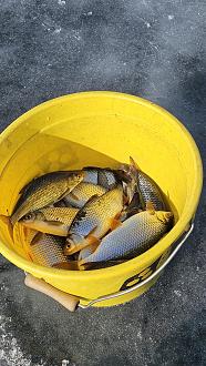 Нажмите на изображение для увеличения.  Название:	20260314_132143.jpg Просмотров:	0 Размер:	609.2 Кб ID:	4556590