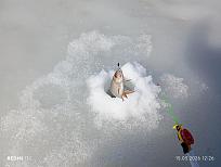 Нажмите на изображение для увеличения.  Название:	IMG_20260315_122637.jpg Просмотров:	0 Размер:	376.4 Кб ID:	4556656