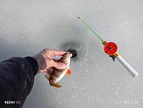 Нажмите на изображение для увеличения.  Название:	IMG_20260315_123855.jpg Просмотров:	0 Размер:	559.1 Кб ID:	4556658