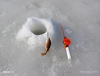 Нажмите на изображение для увеличения.  Название:	IMG_20260315_151739.jpg Просмотров:	0 Размер:	579.6 Кб ID:	4556663