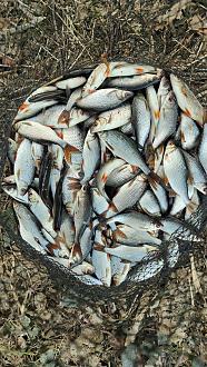 Нажмите на изображение для увеличения.

Название:	IMG20260314185503.jpg
Просмотров:	68
Размер:	636.0 Кб
ID:	4556755