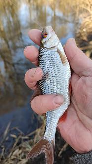 Нажмите на изображение для увеличения.

Название:	IMG20260314094711.jpg
Просмотров:	63
Размер:	290.6 Кб
ID:	4556756