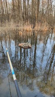 Нажмите на изображение для увеличения.

Название:	IMG20260314081544.jpg
Просмотров:	71
Размер:	624.5 Кб
ID:	4556759