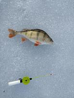 Нажмите на изображение для увеличения.

Название:	IMG_20260319_083316.jpg
Просмотров:	75
Размер:	449.6 Кб
ID:	4556866