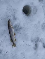 Нажмите на изображение для увеличения.

Название:	IMG_20260319_113225.jpg
Просмотров:	45
Размер:	375.2 Кб
ID:	4556870