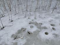 Нажмите на изображение для увеличения.

Название:	IMG_20260319_132659.jpg
Просмотров:	43
Размер:	478.3 Кб
ID:	4556867