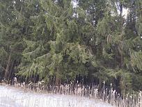 Нажмите на изображение для увеличения.

Название:	IMG_20260319_132915.jpg
Просмотров:	43
Размер:	590.5 Кб
ID:	4556871