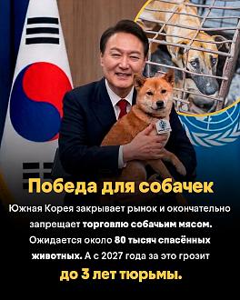 Нажмите на изображение для увеличения.

Название:	653993336_18312918841284955_7043339823034498075_n.jpg
Просмотров:	7
Размер:	414.8 Кб
ID:	4556989