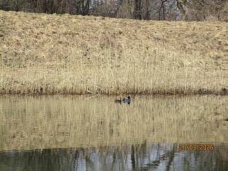 Нажмите на изображение для увеличения.

Название:	IMG_0644.JPG
Просмотров:	110
Размер:	576.6 Кб
ID:	4557009