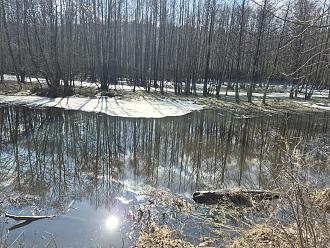 Нажмите на изображение для увеличения.

Название:	20260322_141012.jpg
Просмотров:	915
Размер:	634.8 Кб
ID:	4557037