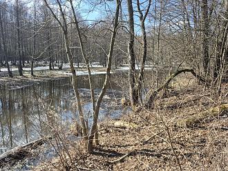 Нажмите на изображение для увеличения.

Название:	20260322_141016.jpg
Просмотров:	847
Размер:	664.6 Кб
ID:	4557039