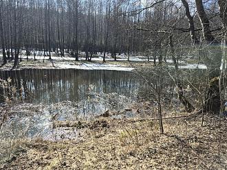 Нажмите на изображение для увеличения.

Название:	20260322_141057.jpg
Просмотров:	849
Размер:	696.7 Кб
ID:	4557040