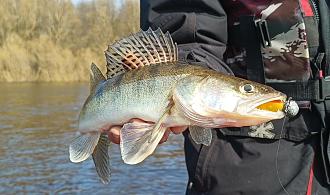 Нажмите на изображение для увеличения.

Название:	IMG_20260318_124356_612.jpg
Просмотров:	125
Размер:	137.1 Кб
ID:	4557042