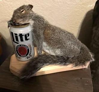 Нажмите на изображение для увеличения.

Название:	653709071_26081728381453602_7672027404736047244_n.jpg
Просмотров:	16
Размер:	47.9 Кб
ID:	4557054