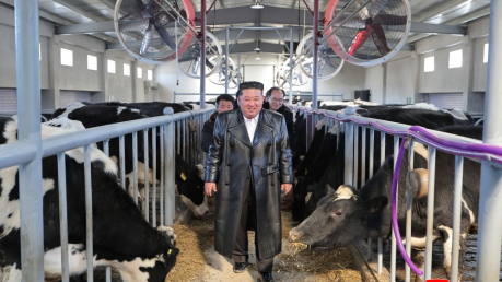 Нажмите на изображение для увеличения.  Название:	1770586250073_default.png Просмотров:	0 Размер:	229.6 Кб ID:	4557108