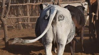 Нажмите на изображение для увеличения.

Название:	Скриншот 23-03-2026 100725.jpg
Просмотров:	11
Размер:	65.2 Кб
ID:	4557128