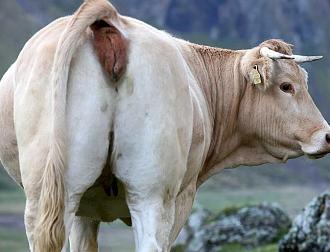 Нажмите на изображение для увеличения.

Название:	Скриншот 23-03-2026 100654.jpg
Просмотров:	11
Размер:	75.5 Кб
ID:	4557129