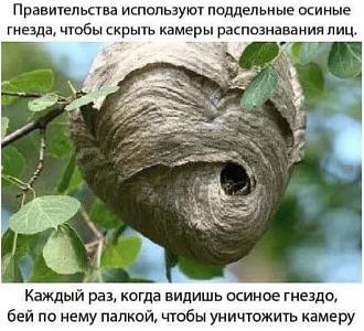 Нажмите на изображение для увеличения.

Название:	photo_2026-03-23_18-49-34.jpg
Просмотров:	8
Размер:	80.2 Кб
ID:	4557167