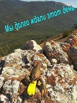 Нажмите на изображение для увеличения.  Название:	656808788_1984430229158542_4236207363973847982_n.jpg Просмотров:	26 Размер:	99.6 Кб ID:	4557332