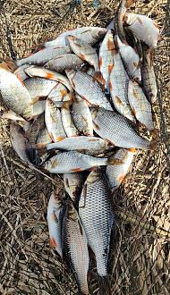 Нажмите на изображение для увеличения.

Название:	Screenshot_2026-03-21-15-28-50-43_92460851df6f172a4592fca41cc2d2e6.jpg
Просмотров:	84
Размер:	841.8 Кб
ID:	4557343