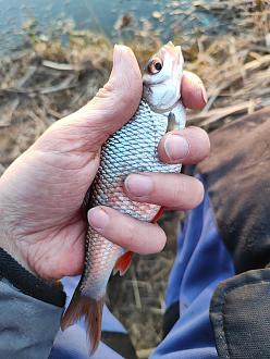 Нажмите на изображение для увеличения.  Название:	IMG_20260325_185427.jpg Просмотров:	0 Размер:	397.6 Кб ID:	4557434